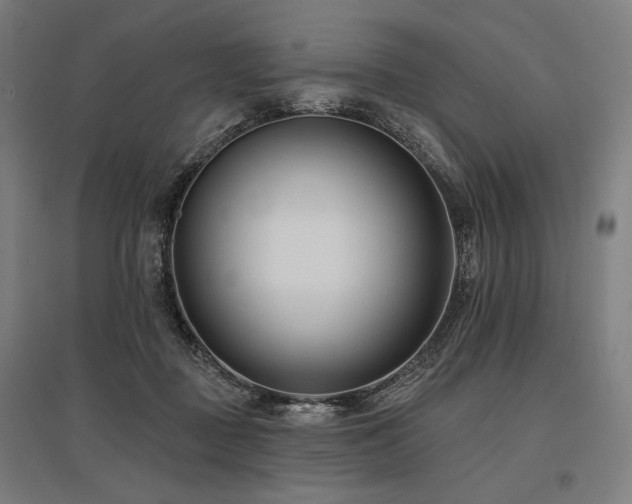 X0000096150363200801181207