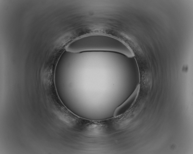 X0000096150364200801181207