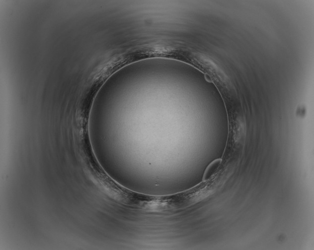 X0000096150366200801181207