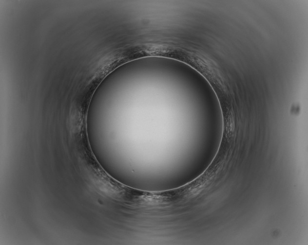 X0000096150367200801181207