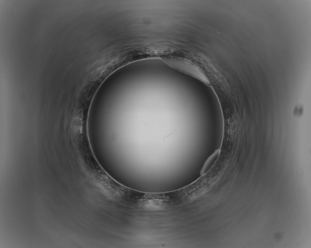 X0000096150368200801181207