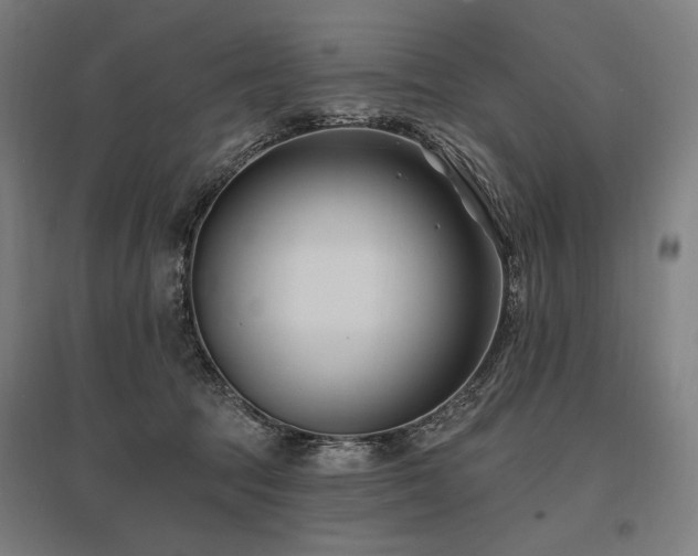 X0000096150369200801181208