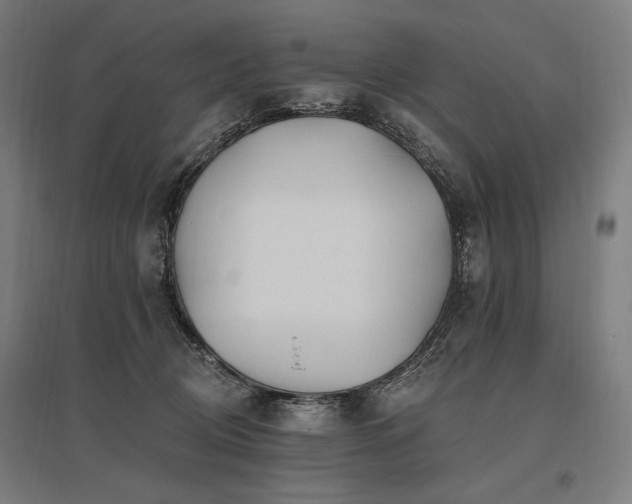 X0000096150370200801181208