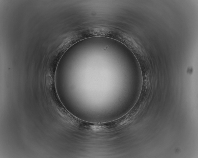 X0000096150371200801181208