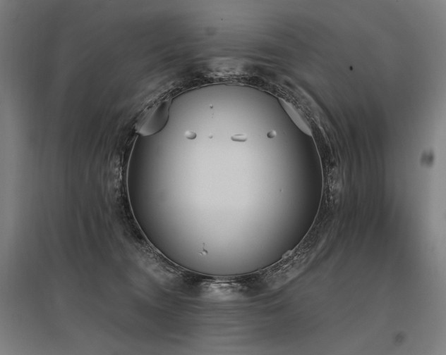X0000096150372200801181208