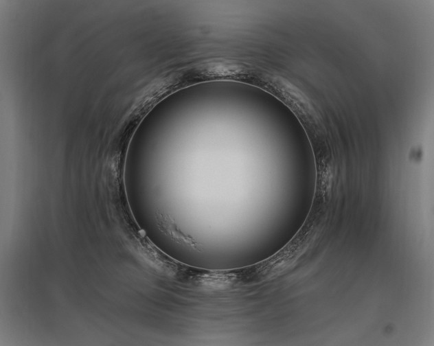 X0000096150373200801181208
