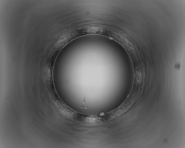 X0000096150375200801181208