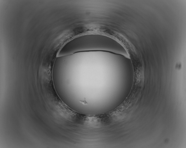 X0000096150376200801181208