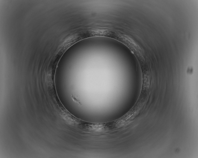 X0000096150377200801181208