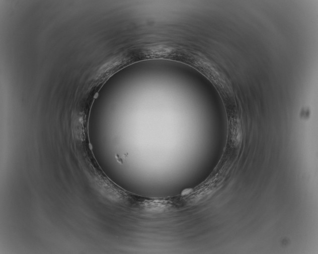 X0000096150378200801181208