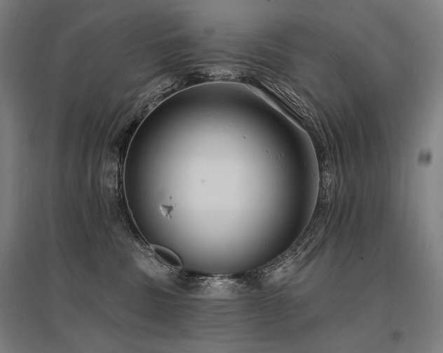 X0000096150379200801181208