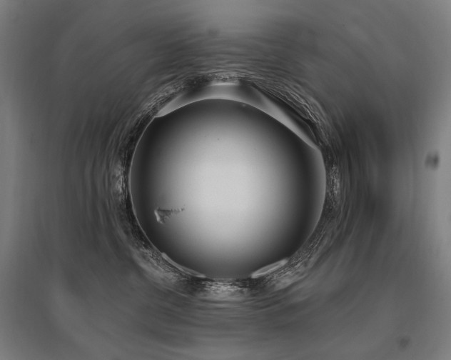 X0000096150380200801181208