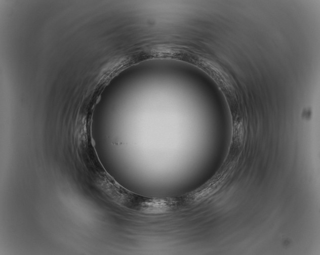 X0000096150381200801181208