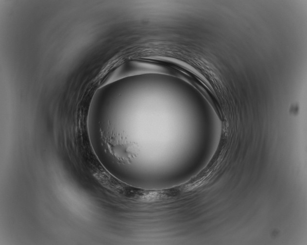 X0000096150382200801181208