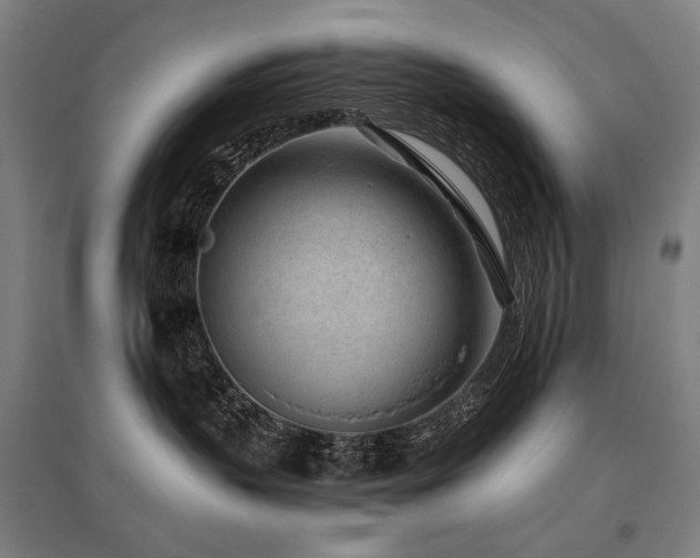 X0000096150383200801181208
