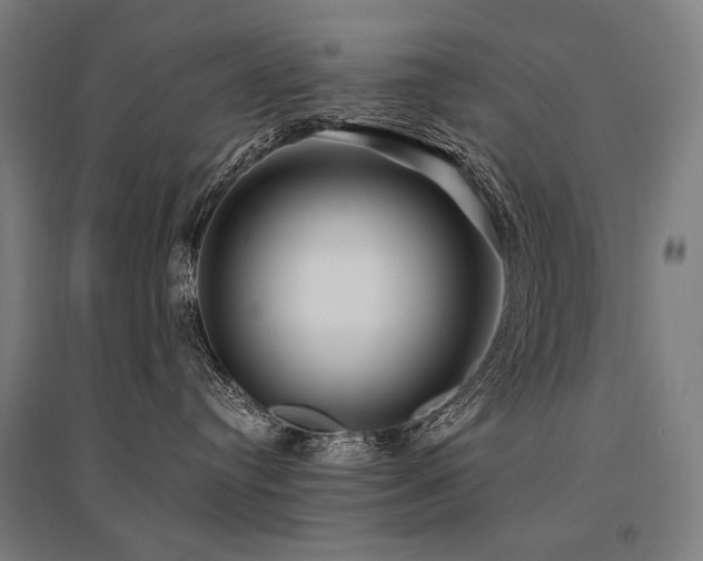 X0000096150384200801181208