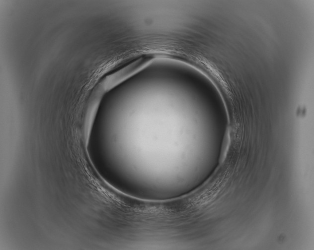 X0000096150385200801181207