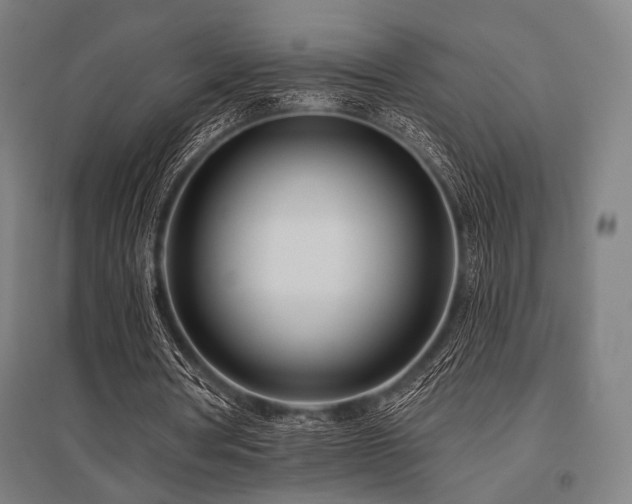 X0000096150386200801181207