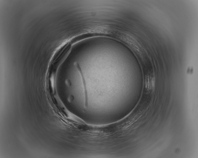 X0000096150388200801181207