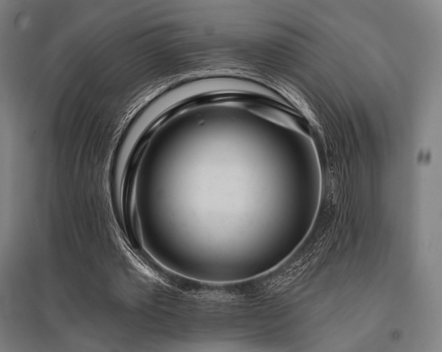 X0000096150389200801181207