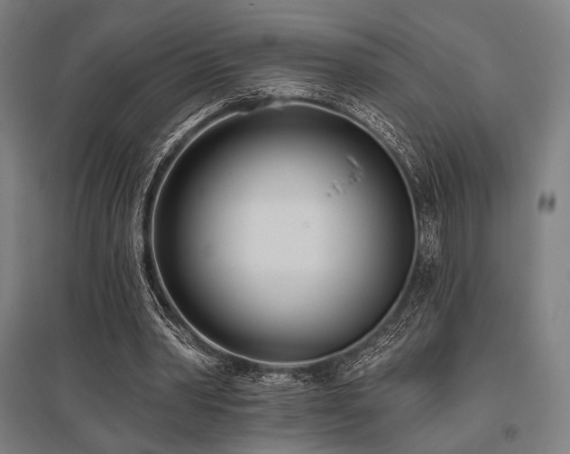 X0000096150390200801181207