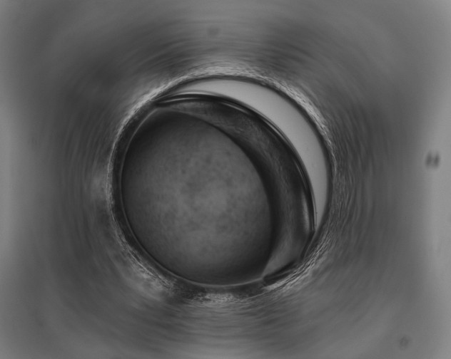 X0000096150391200801181207
