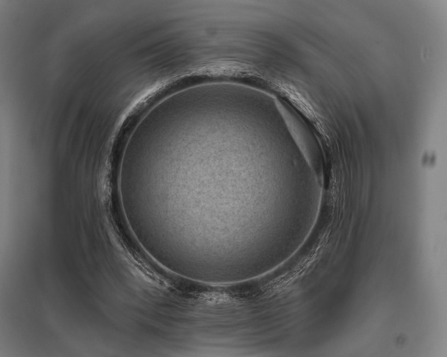 X0000096150392200801181207