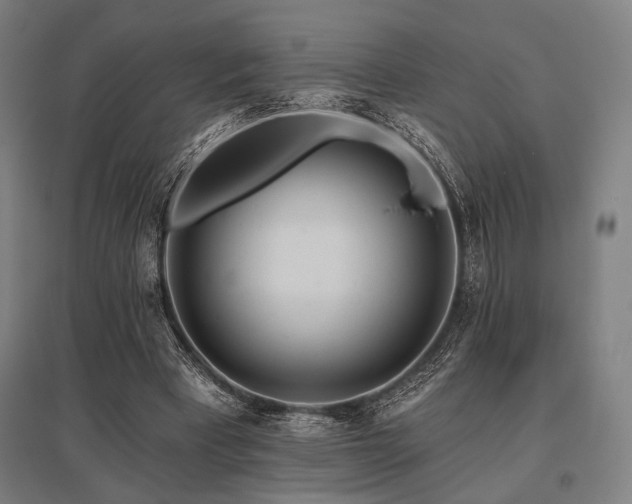 X0000096150393200801181207