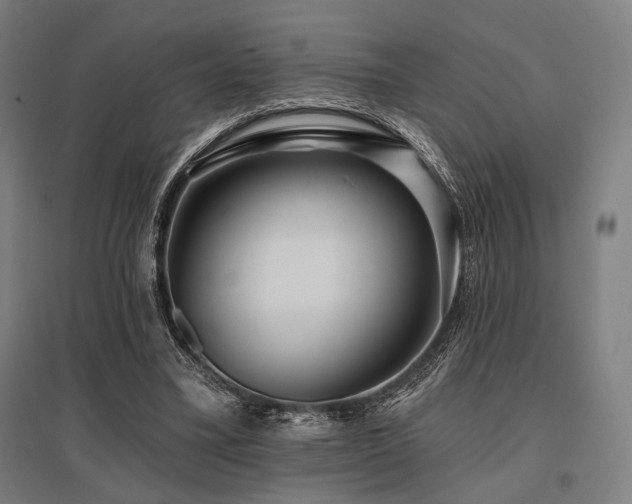 X0000096150395200801181207
