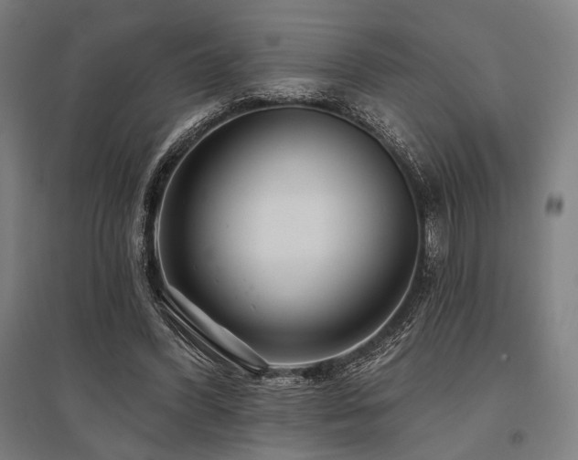 X0000096150396200801181207
