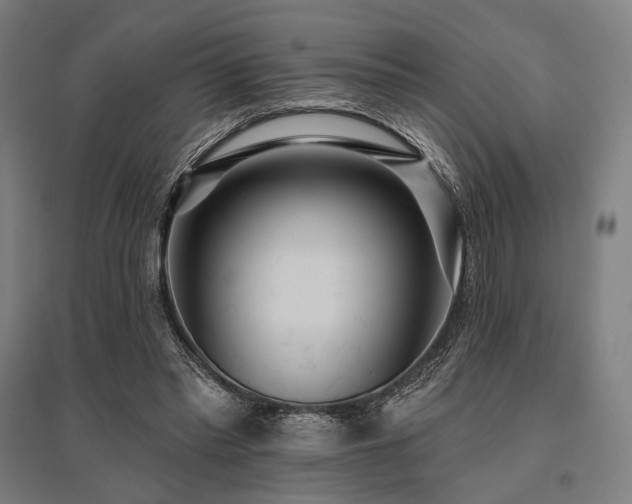 X0000096150397200801181207