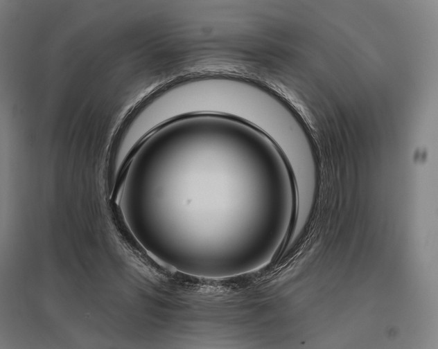 X0000096150399200801181207
