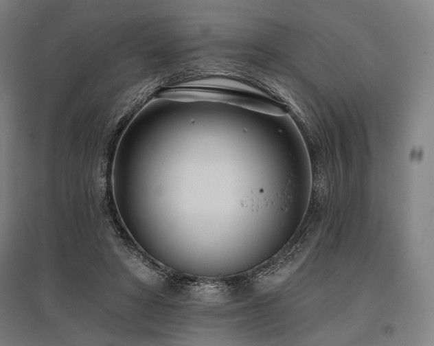 X0000096150402200801181207