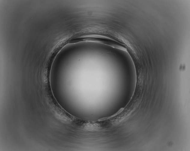 X0000096150403200801181207