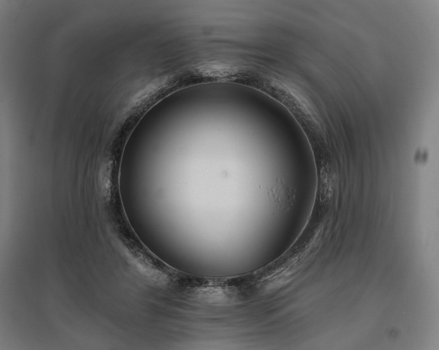 X0000096150404200801181207