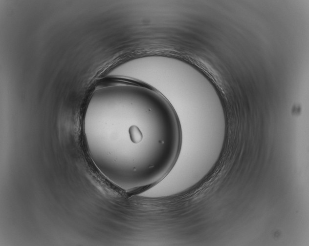 X0000096150405200801181207