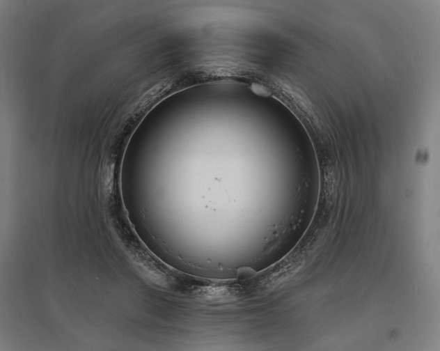 X0000096150406200801181207