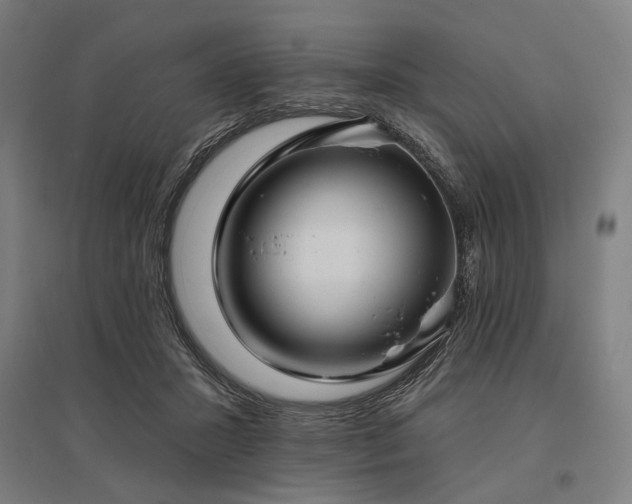 X0000096150407200801181207