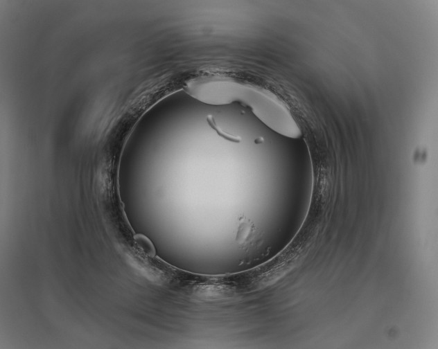 X0000096150408200801181207