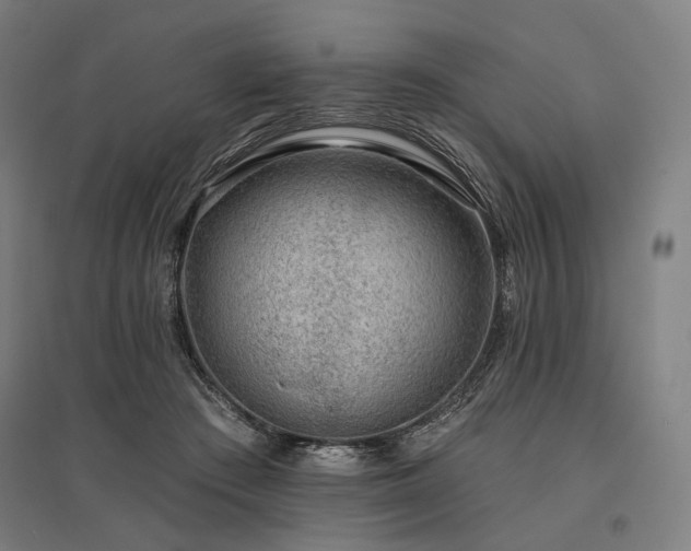 X0000096150409200801181207