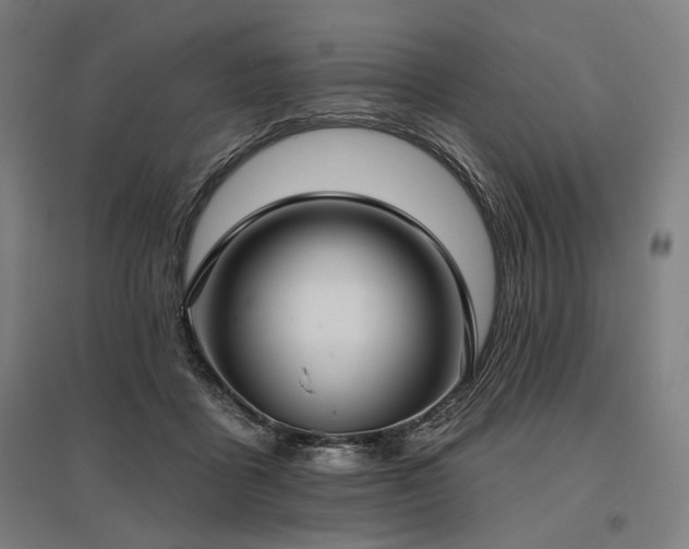 X0000096150411200801181207