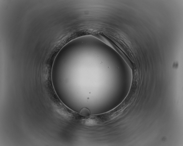 X0000096150412200801181207