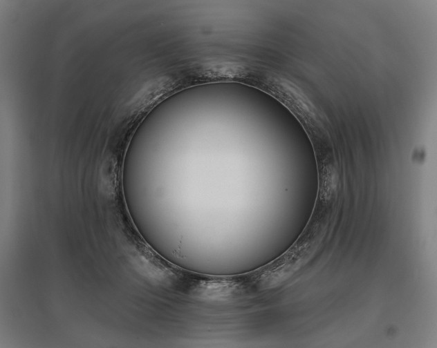 X0000096150414200801181207