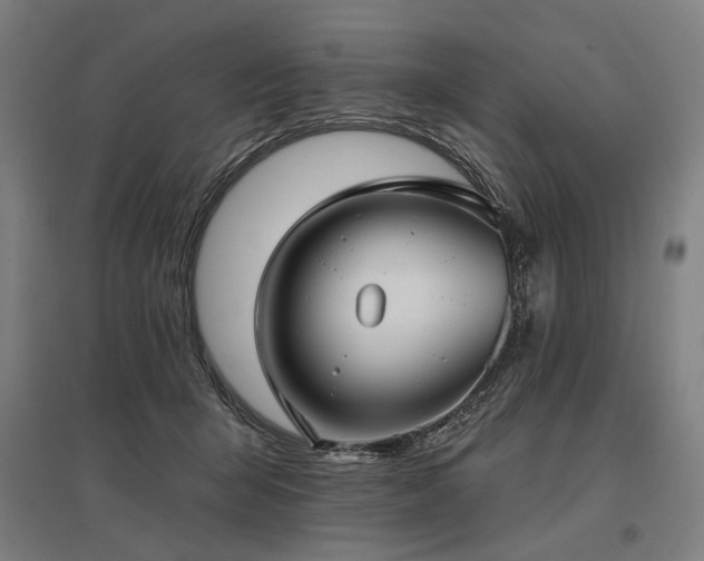 X0000096150415200801181207