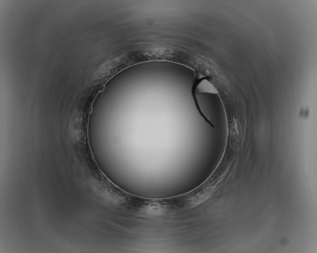 X0000096150416200801181207