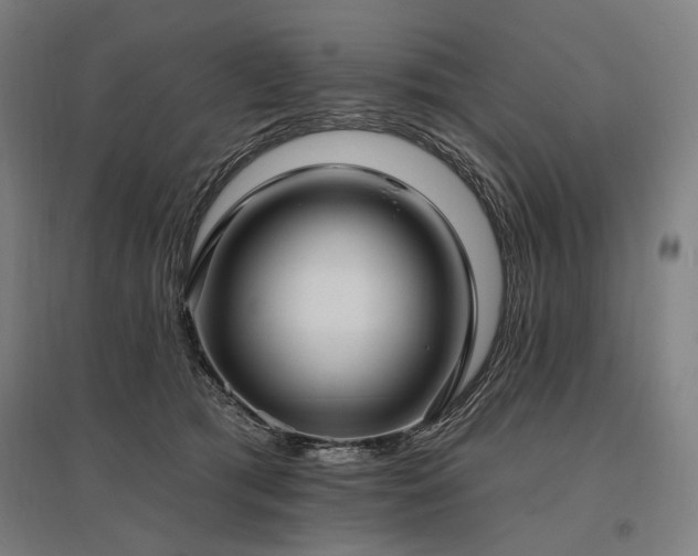 X0000096150417200801181207