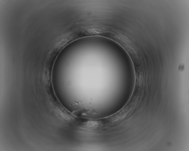 X0000096150418200801181207