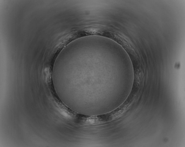 X0000096150420200801181207