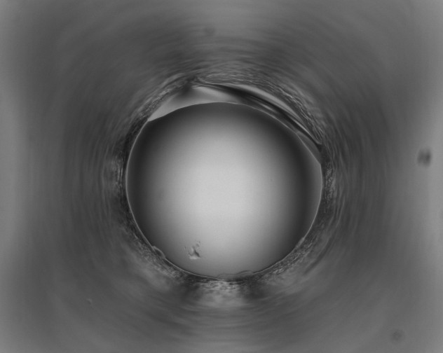 X0000096150421200801181207