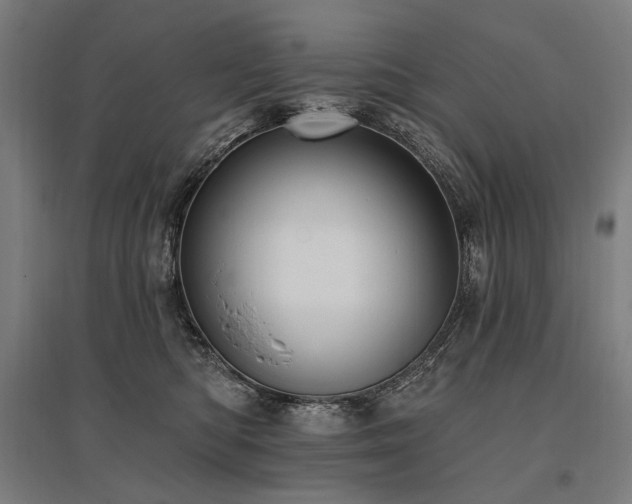 X0000096150422200801181207